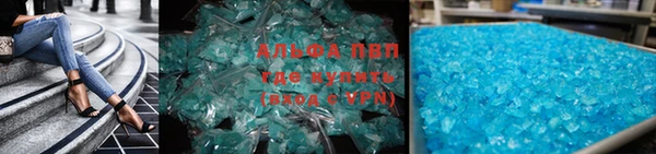 стаф Алексин