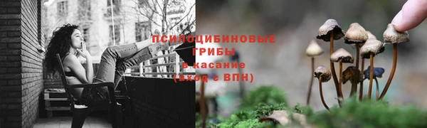 стаф Алексин