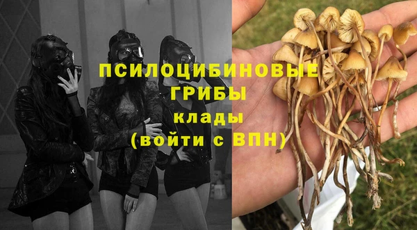 мет Алексеевка